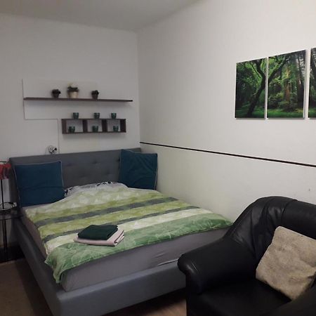 Apartment Ap 1 Im Zentrum Steyr, Bestrooms Eu Ngoại thất bức ảnh