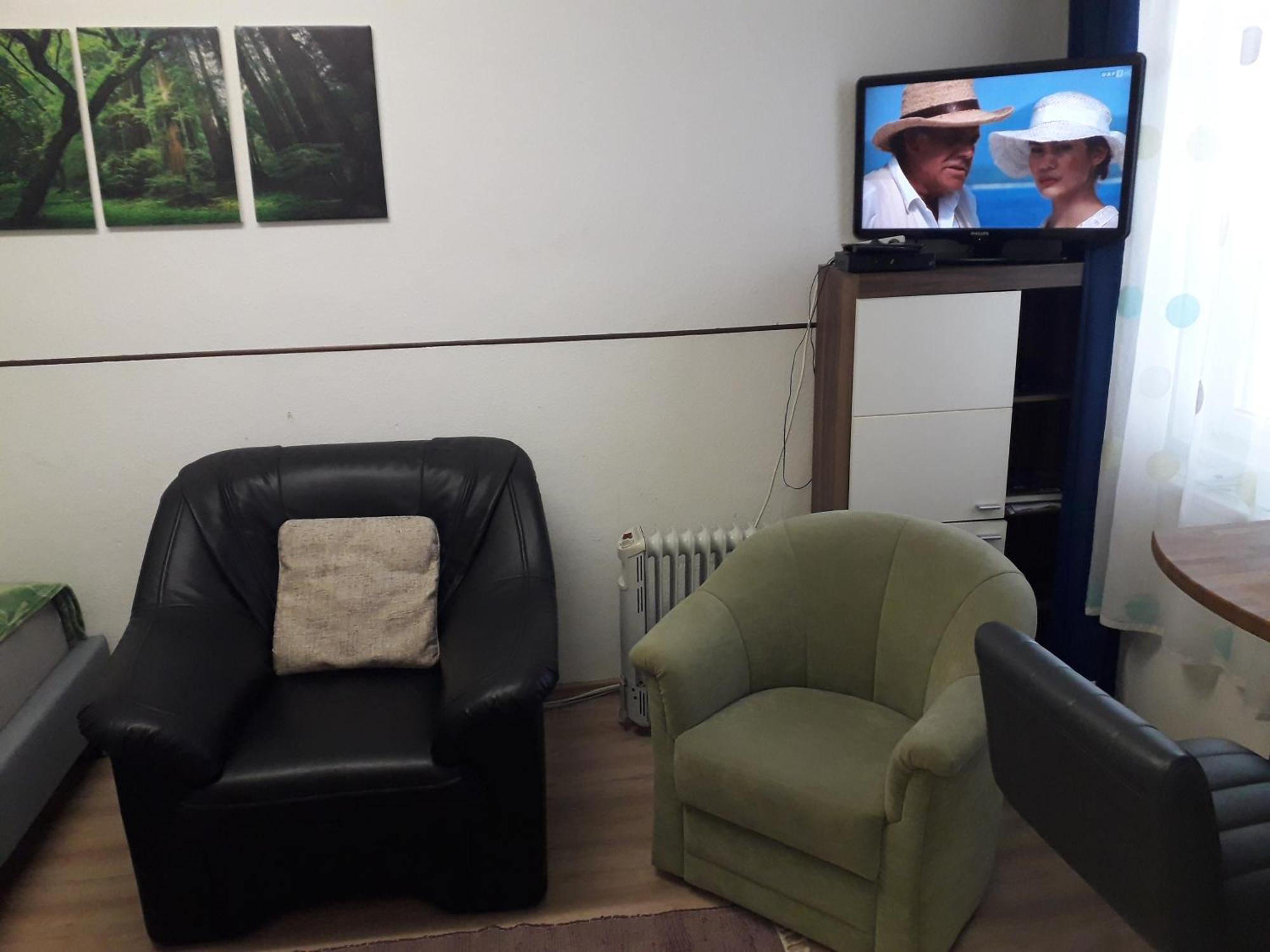 Apartment Ap 1 Im Zentrum Steyr, Bestrooms Eu Ngoại thất bức ảnh